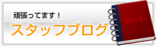 スタッフブログ