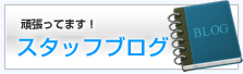 スタッフブログ